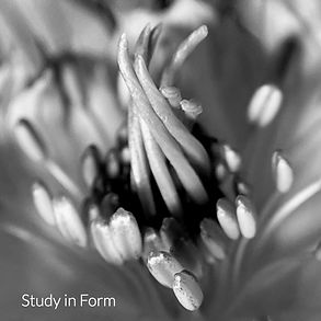 IMG_1480_edited.jpg
