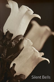 IMG_6015_edited.jpg