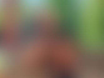 Human Design Retreat