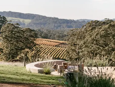A tree change opened up a world of opportunities for this ambitious Perth family