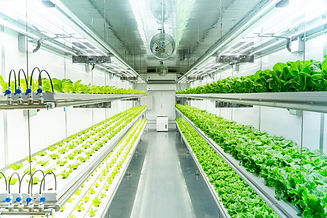 5f6438b050a79f37a701052c_gp-pod-produce-