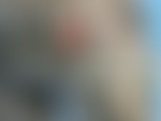 Cross Loading Carabiners