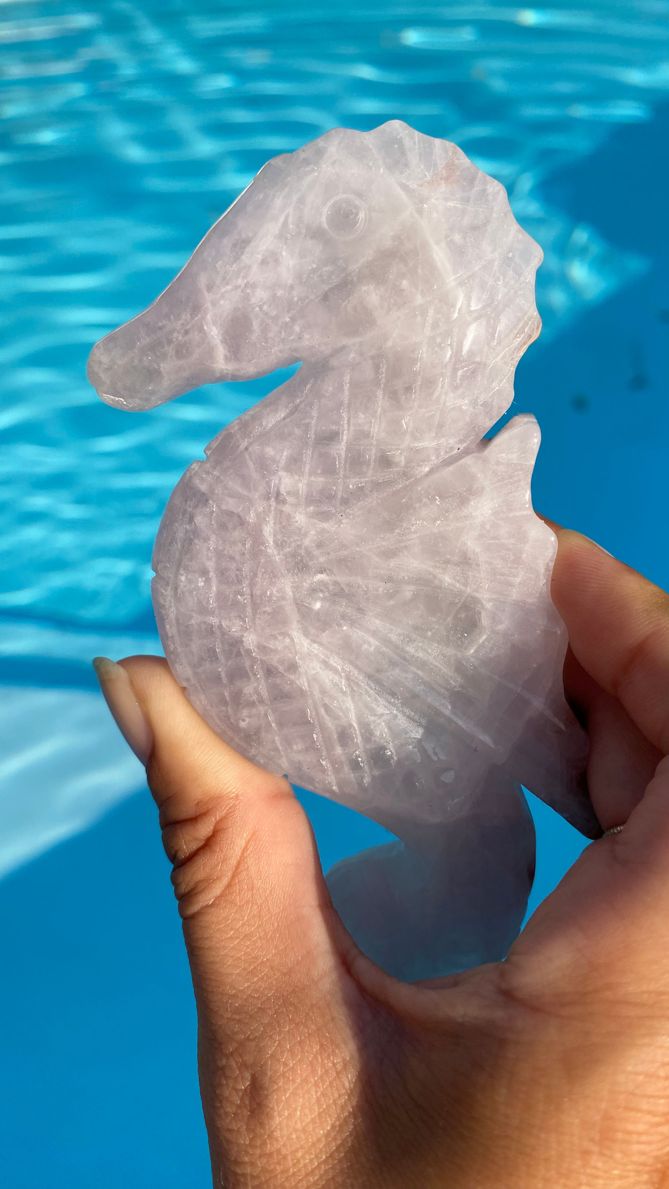 Quartz rose - Hippocampe sur socle doré