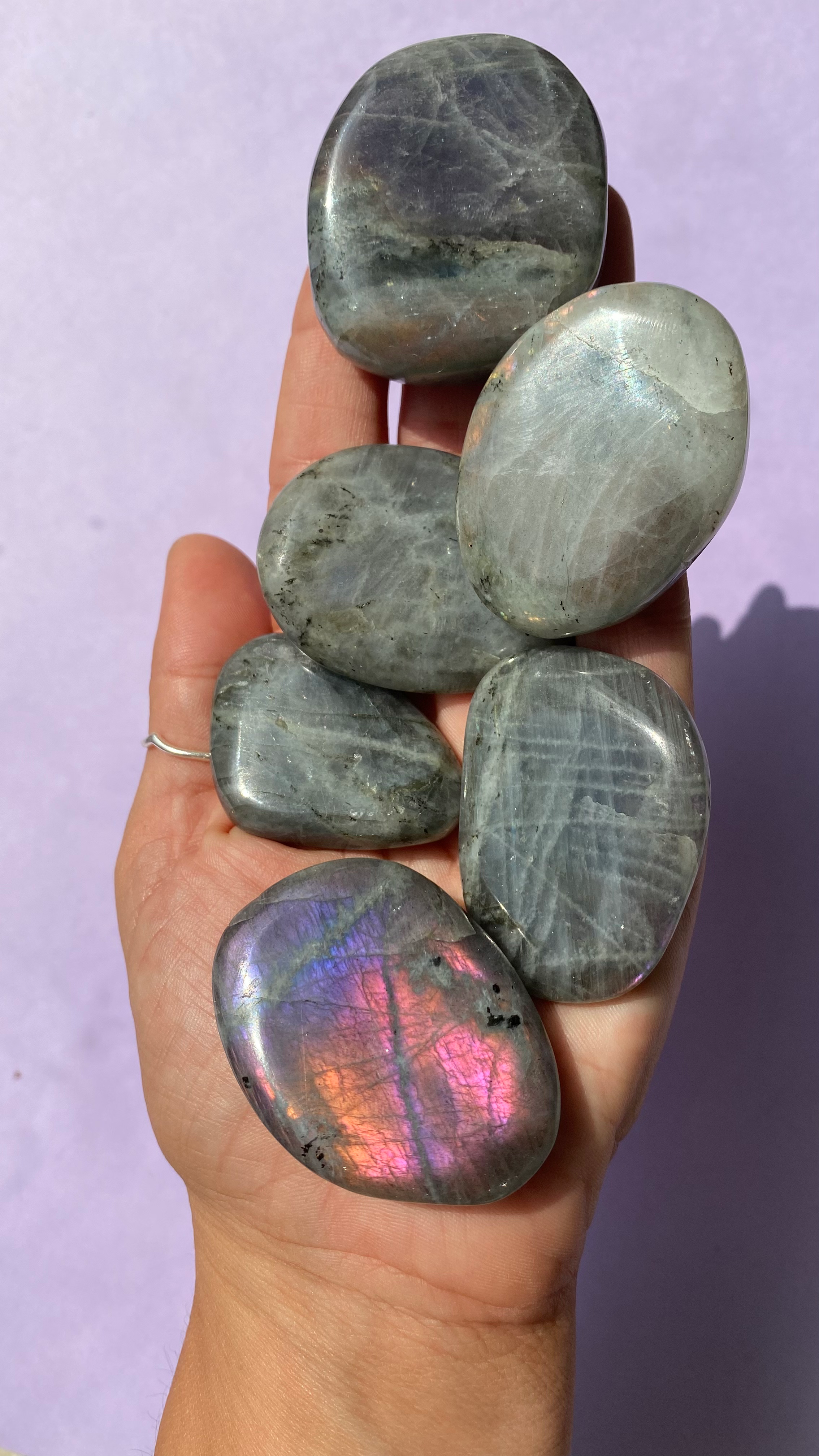 Labradorite violette - Pierres plates
