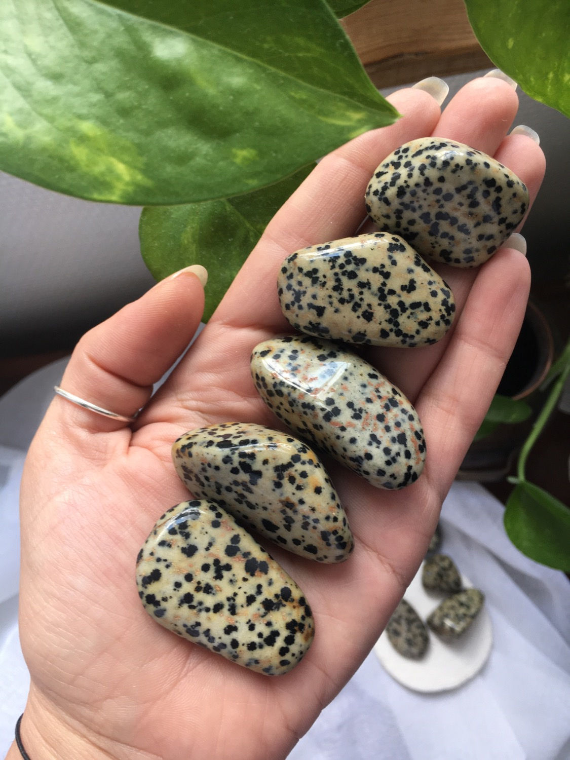 Jaspe Dalmatien - Pierres roulées 