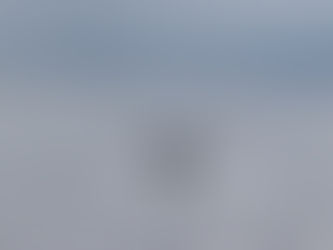 |20220702| The beautiful moby dick | A imponente "moby dick"