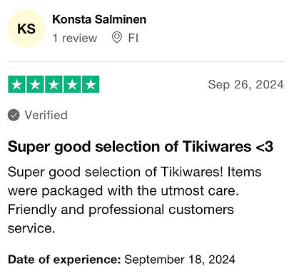 trustpilot review (2).jpg