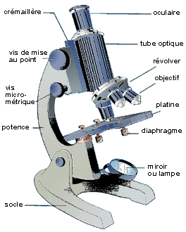 microscope.gif