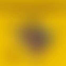 IV FÓRUM DA JUVENTUDE PRETA BAIANA 2022