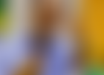 'VALE-MAIS TEMPORÁRIO' VALE MENOS DO QUE OS PROFESSORES MERECEM