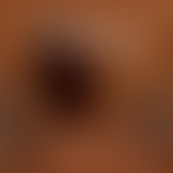 REVISTA DA ASSEMBLEIA POPULAR DE ILHÉUS - Nº4 (EDIÇÃO DE ANIVERSÁRIO) - JAN/2023