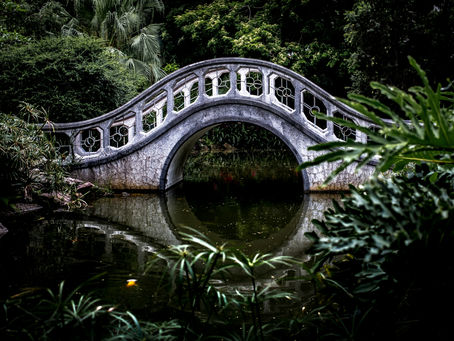 The Bridge: Belief to Practice