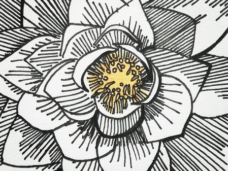 Amy selected for Spike Print Studio Professional Scholarship