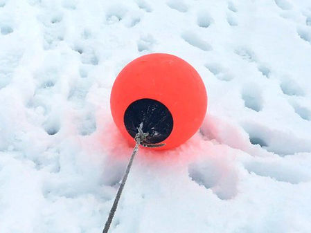 Successful selection for Shape Arts Open