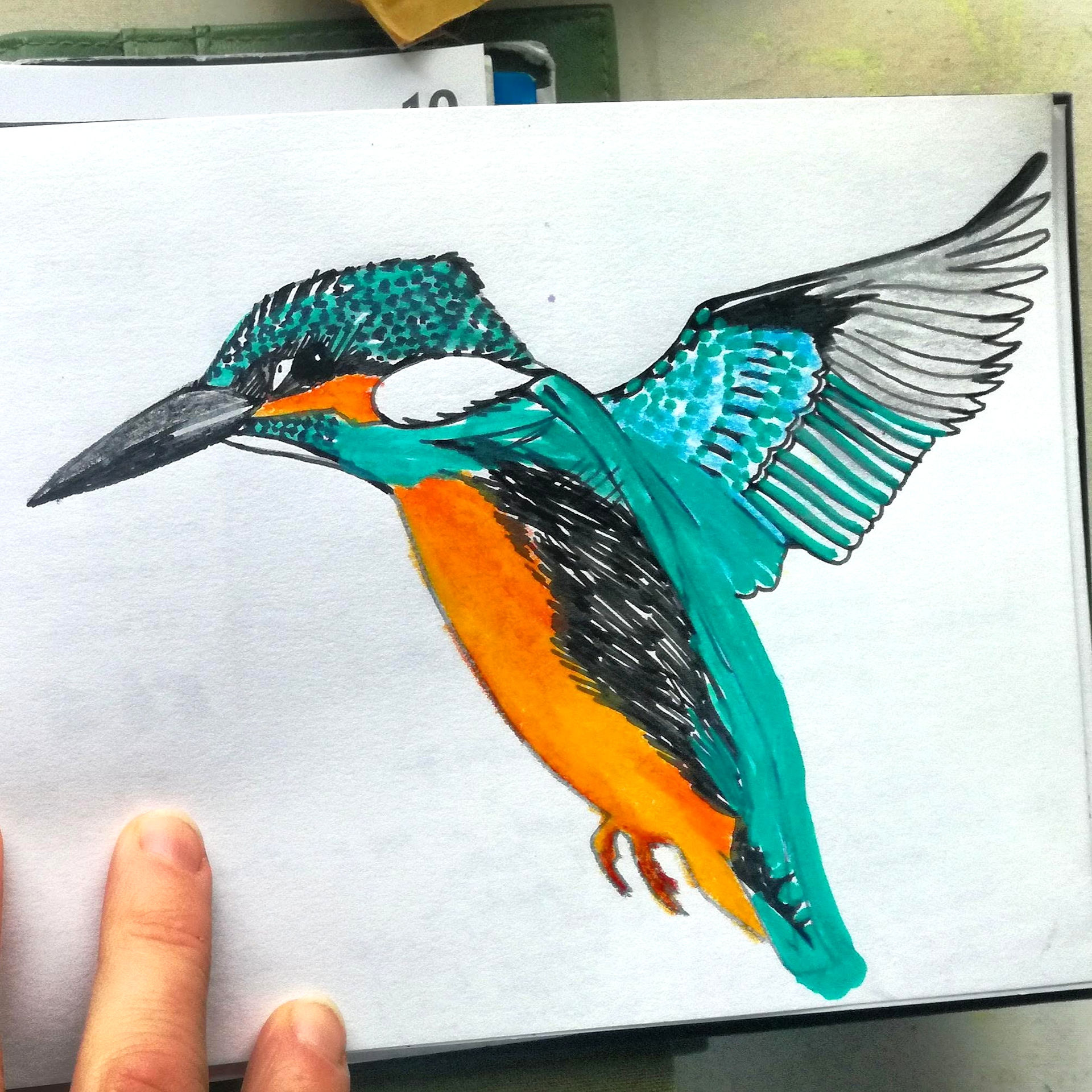 Amy Hutchings - Sketchbook Kingfisher
