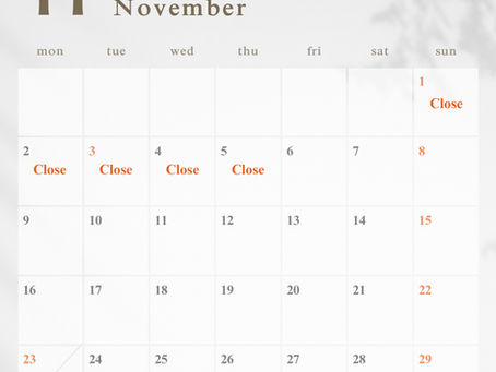 11月スケジュール
