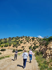 Mountain Walk.jpg