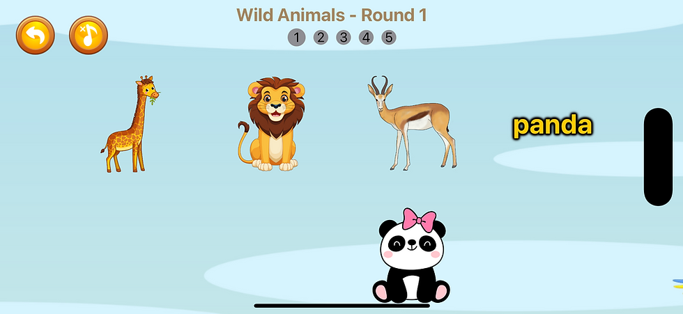Matching Game