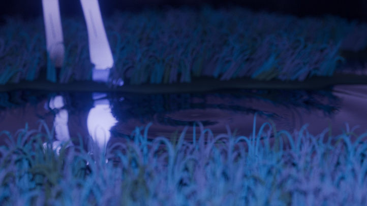 Blue grass and a reflective pool under pale light.