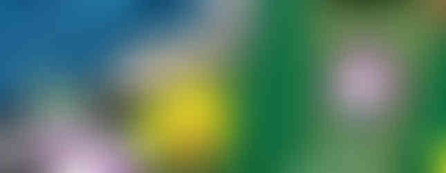 Repurposed hand-dyed linen, merino, lambswool, leather, cotton, polyester, vinyl, plastic, cork, upholstery blends, and embroidery thread.