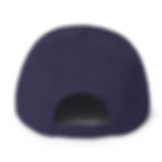 Miniature : Hive Street – Snapback Hat