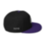 Miniature : Hive Street – Snapback Hat
