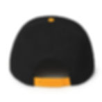 Miniature : Hive Street – Snapback Hat