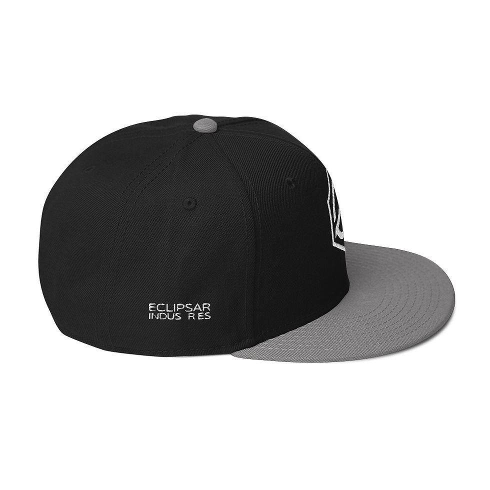 Miniature : Hive Street – Snapback Hat