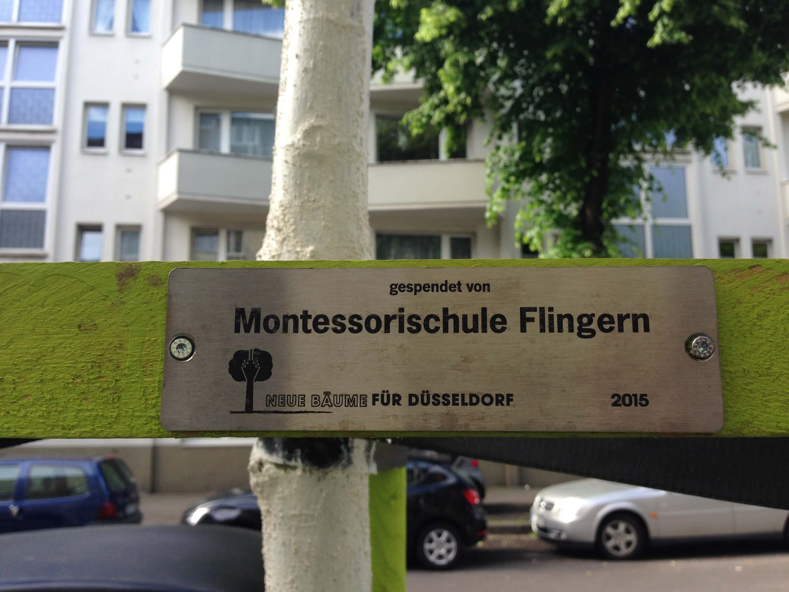 Montessori Grundschule Baumspende Fur Die Lindenstrasse