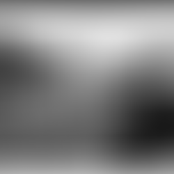 The History Behind the Name: Martin Luther King Jr. Day