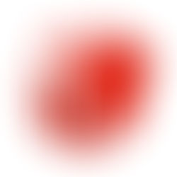 Invest in your Future with The Investment Club