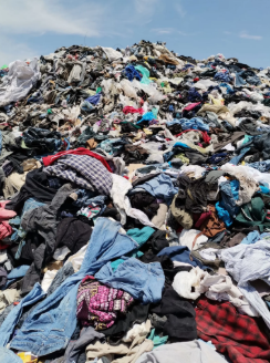 Ways to Protect Our Environment in Everyday Life