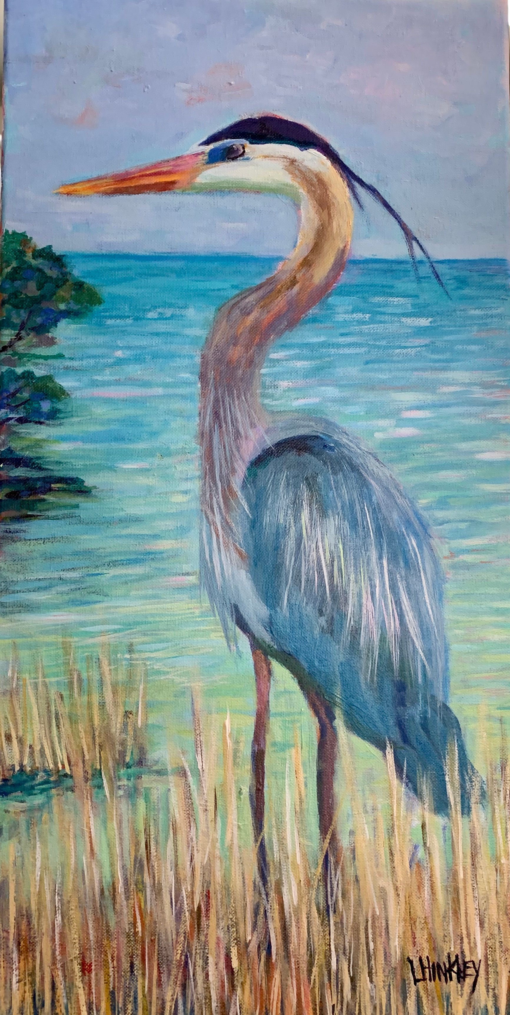 Great Blue Heron