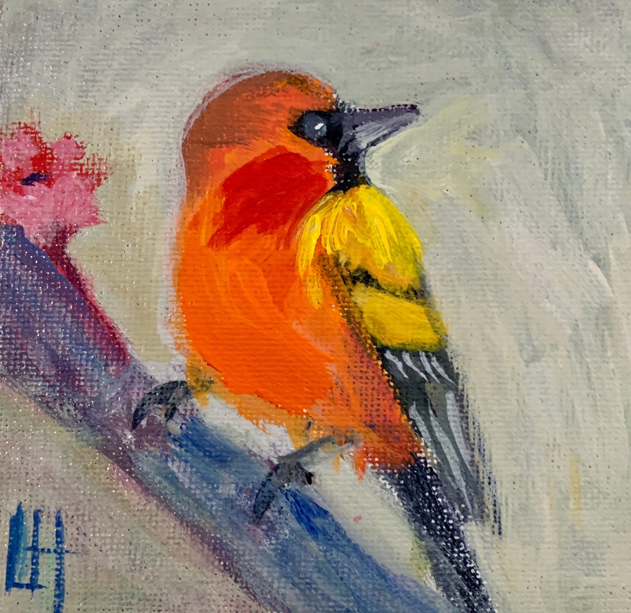 Daily Painting - Streak-Backed Oriole