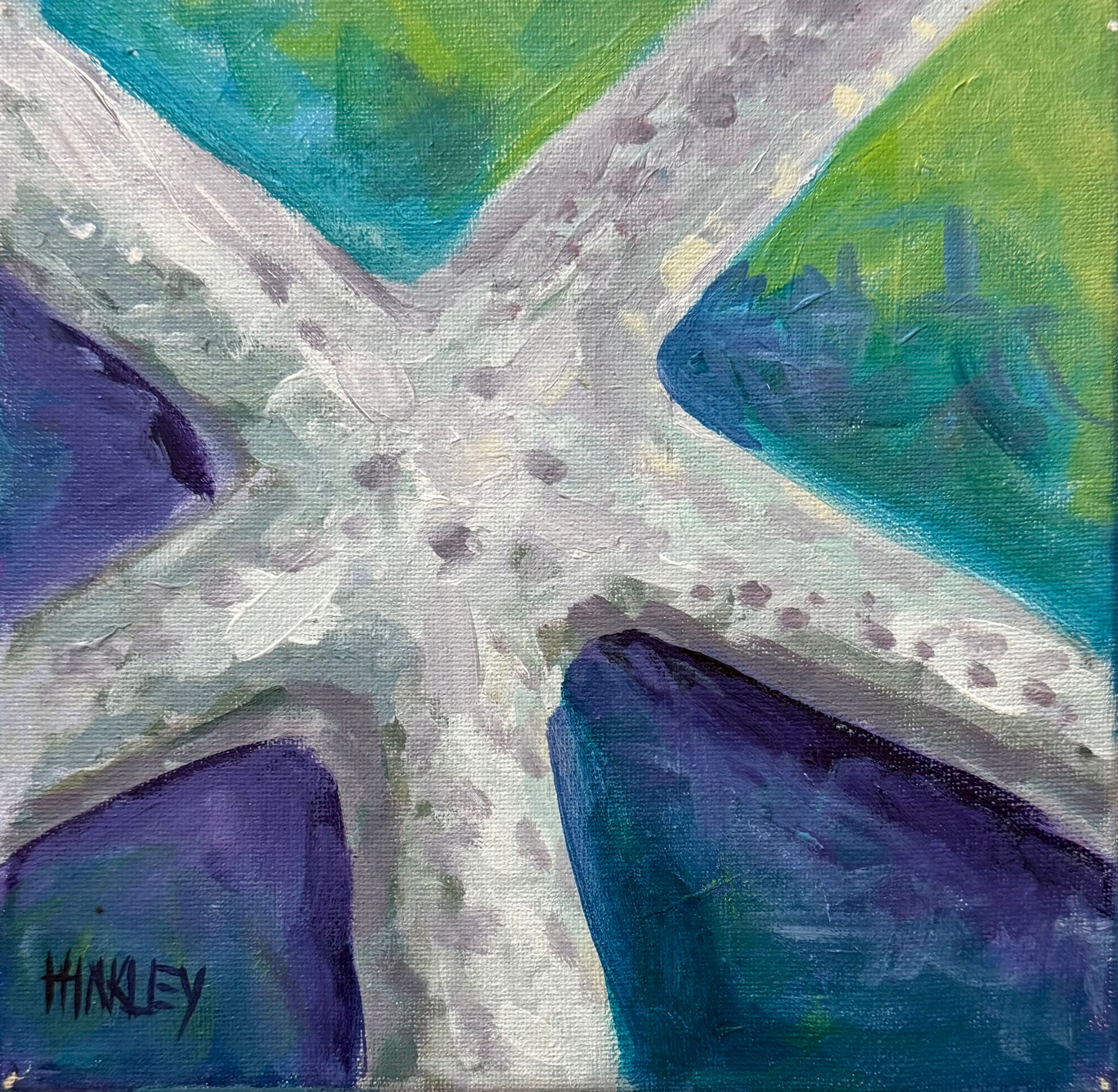 Abstract Starfish
