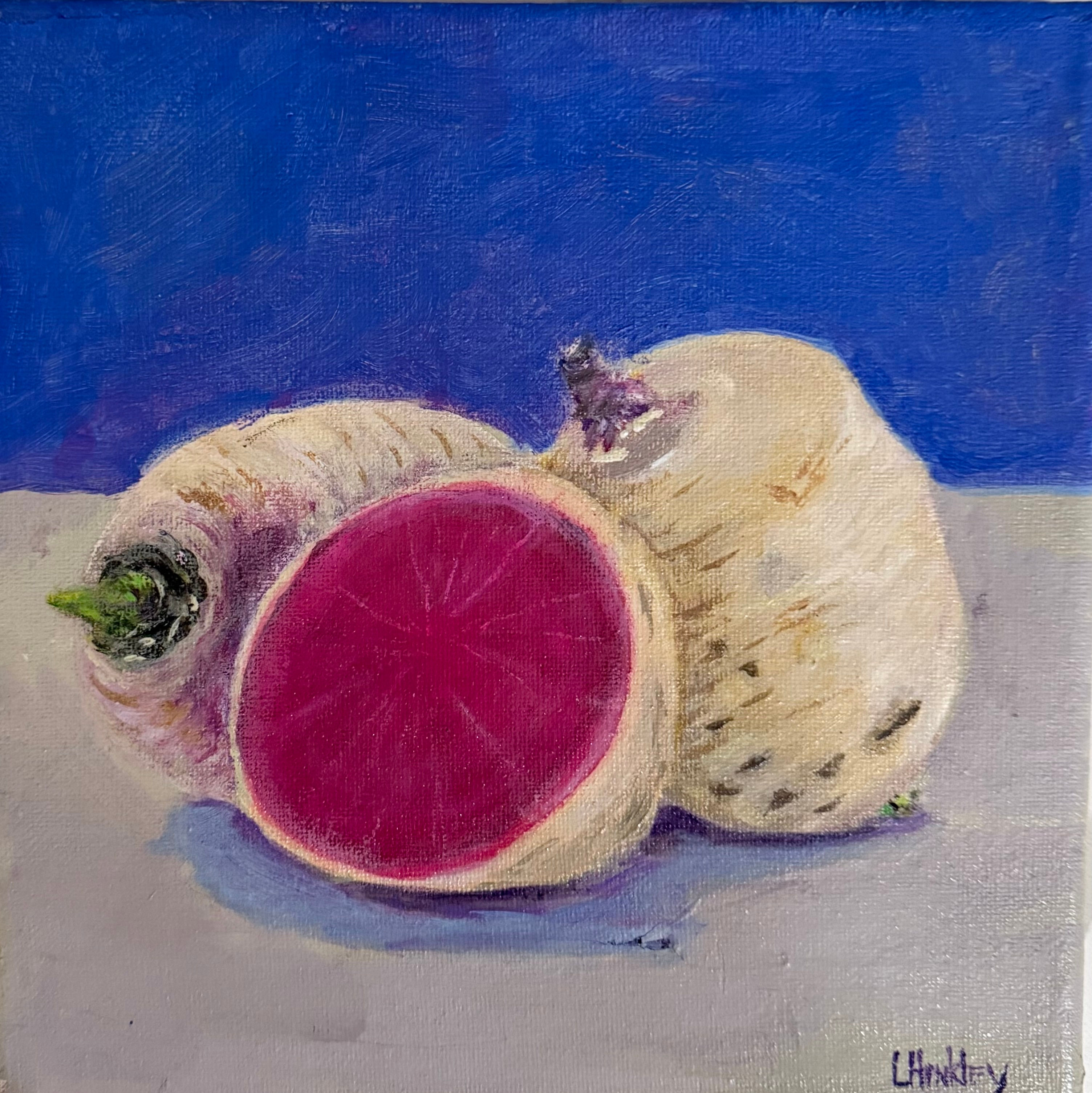 Diacon Radish Still Life