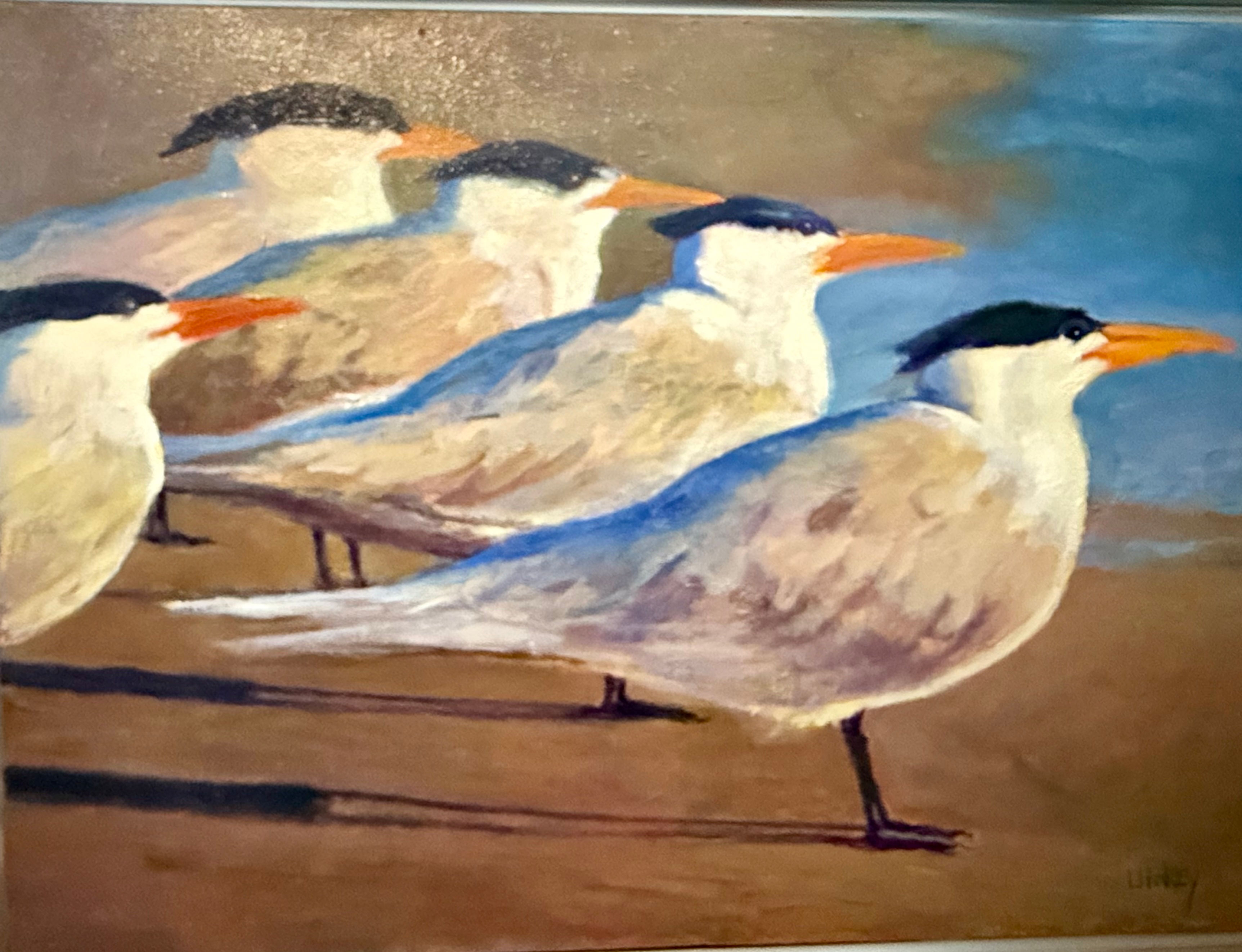 Sentry Gulls