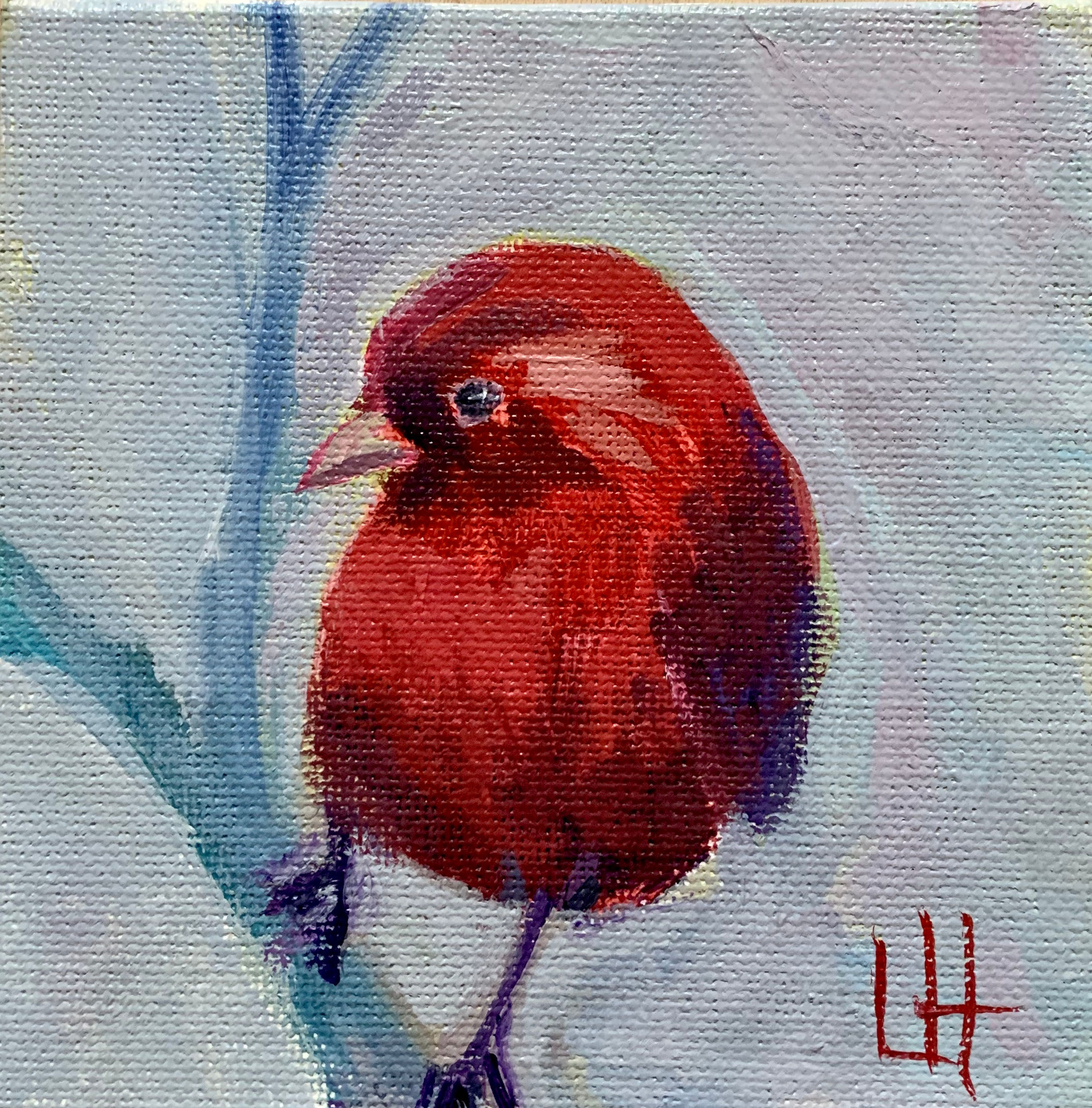 Daily Painting - Rosefinch