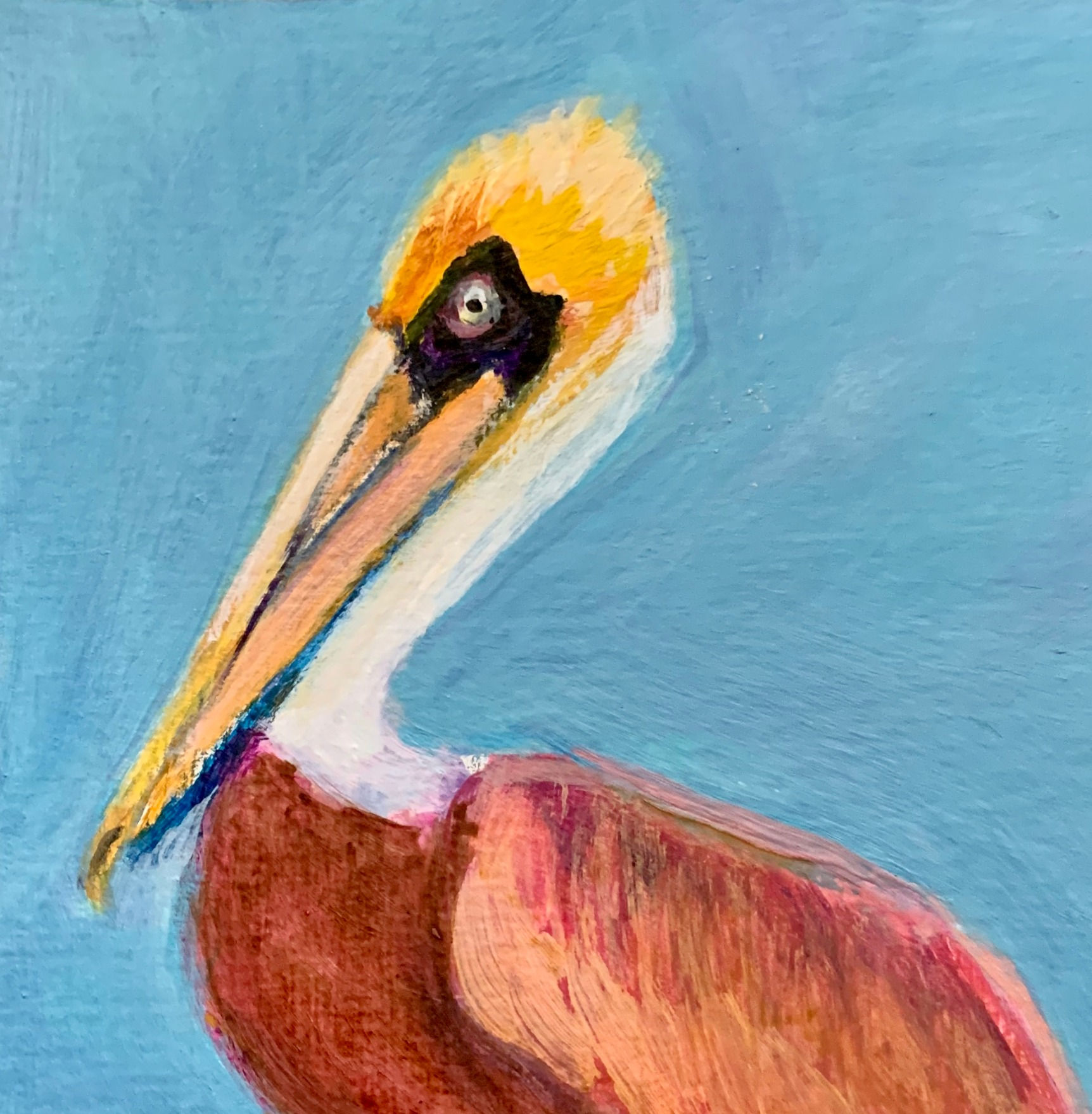 Pelican - Karen