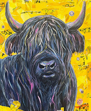 Blue_Highland_Bronwyn_Owen.jpg