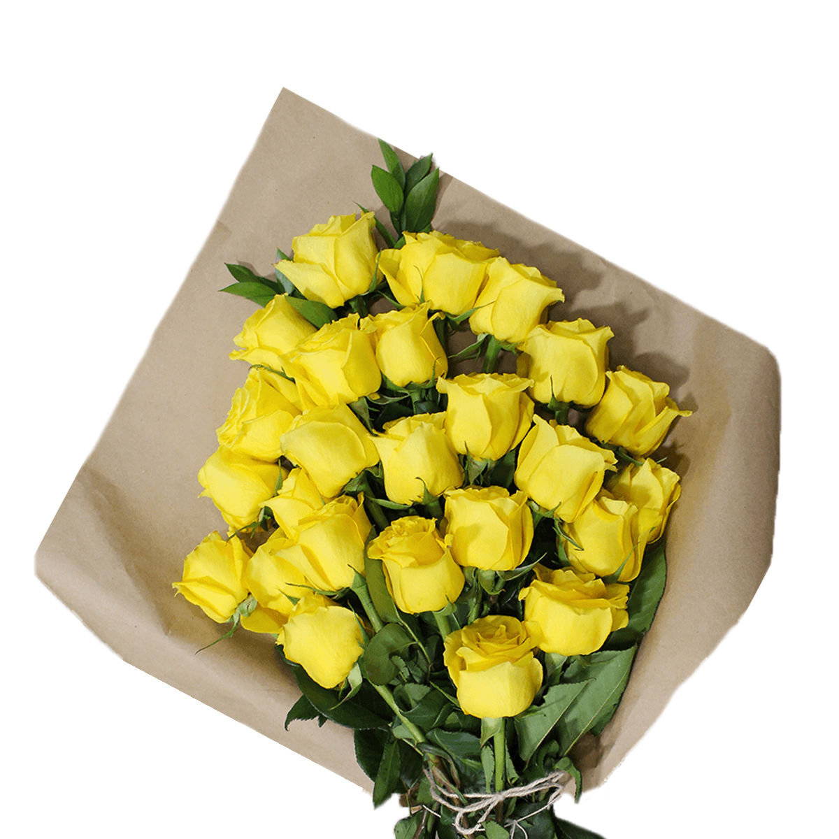 Wrapped Yellow Roses
