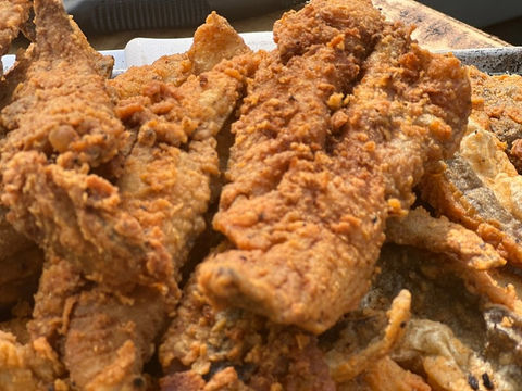 Pan's Rodeo Food Truck will be selling deep fried fileted whiting fish with savory seasoning served plain, as a sandwich on white or wheat bread and as a fish dog served on a hot dog bun with chili. We also offer beef hot dogs served with chili. Our sides are fries, Cole slaw and chips.