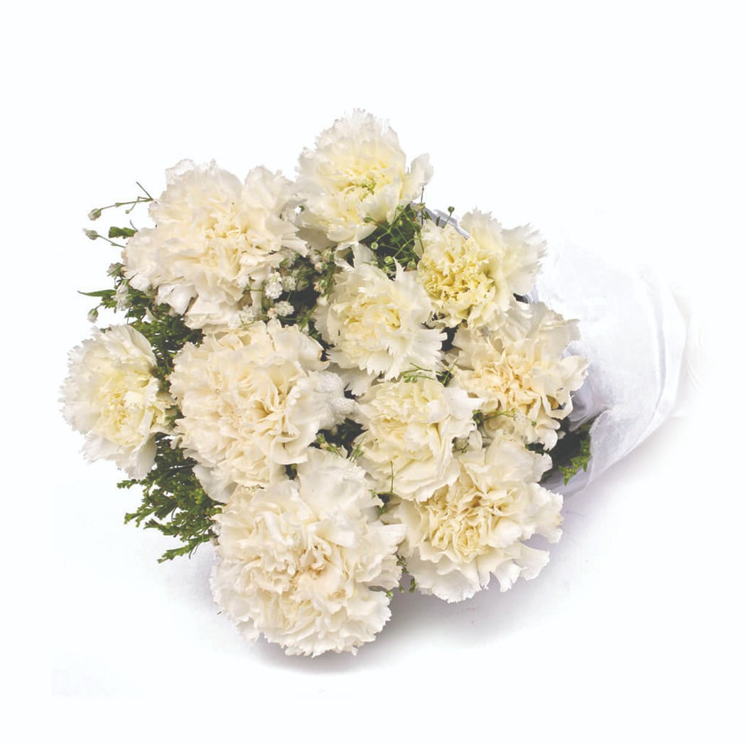 Wrapped White Carnations