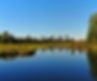9455679703_2fae4f9229_01.jpg