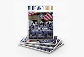 BlueGold_Mockup3.jpg