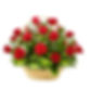 RedRose_FuneralBasket.jpg