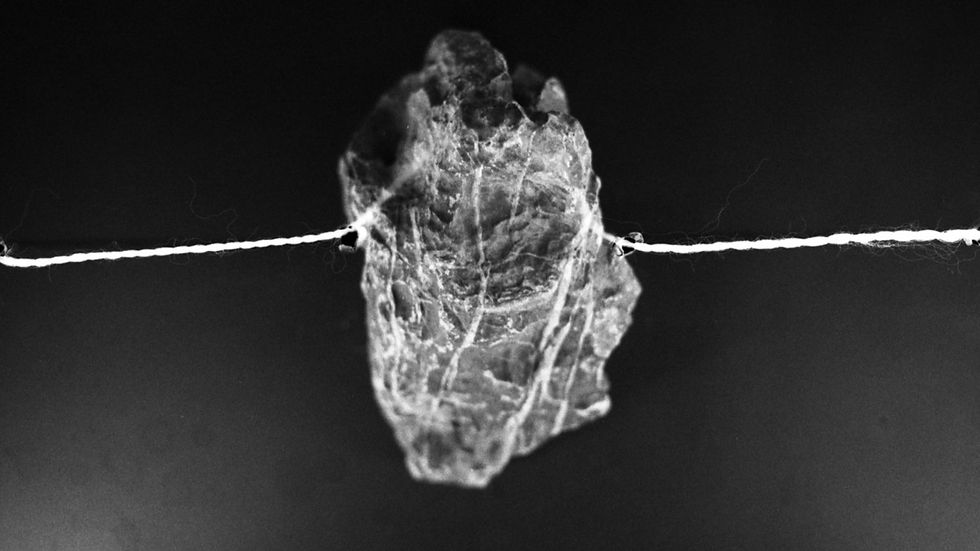 Tethered, una exposició de Irina Chernikova