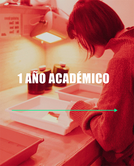 Diploma-Agora-Esp.gif