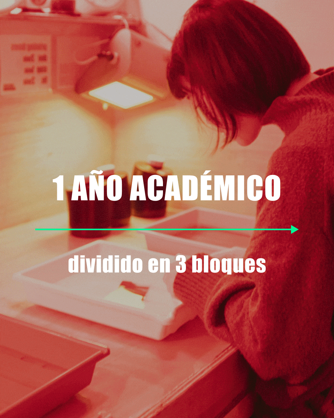 Diploma-Agora-ESP.gif