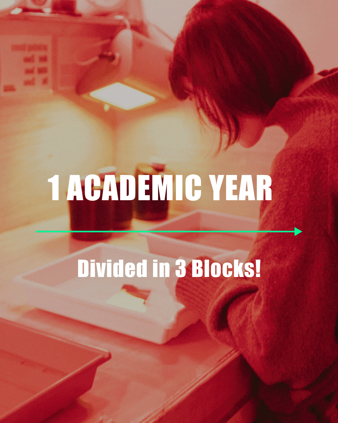 Agora School Of Experimentation agora-school-of-experimentation